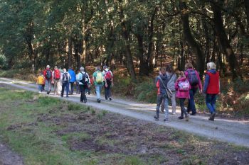 Der Pastoralverbund wallfahrtete bei schönem Herbstwetter