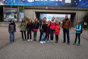 Fische im Aquarium und auch auf der Leinwand gesehen