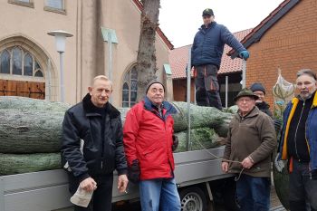 Frische Tannenbäume und Adventsstimmung in St. Josef