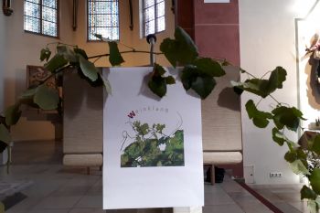 Frauen begingen Schöpfungstag mit ökumenischem Gottesdienst