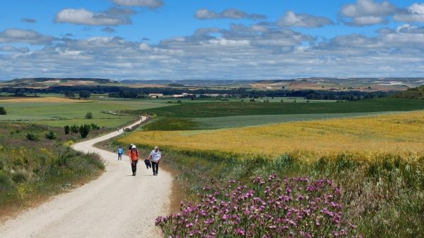 Wanderung auf dem Jakobsweg